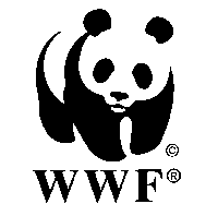  . WWF   7     