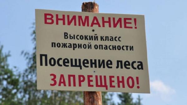 В лесах Республики Бурятия введен режим чрезвычайной ситуации