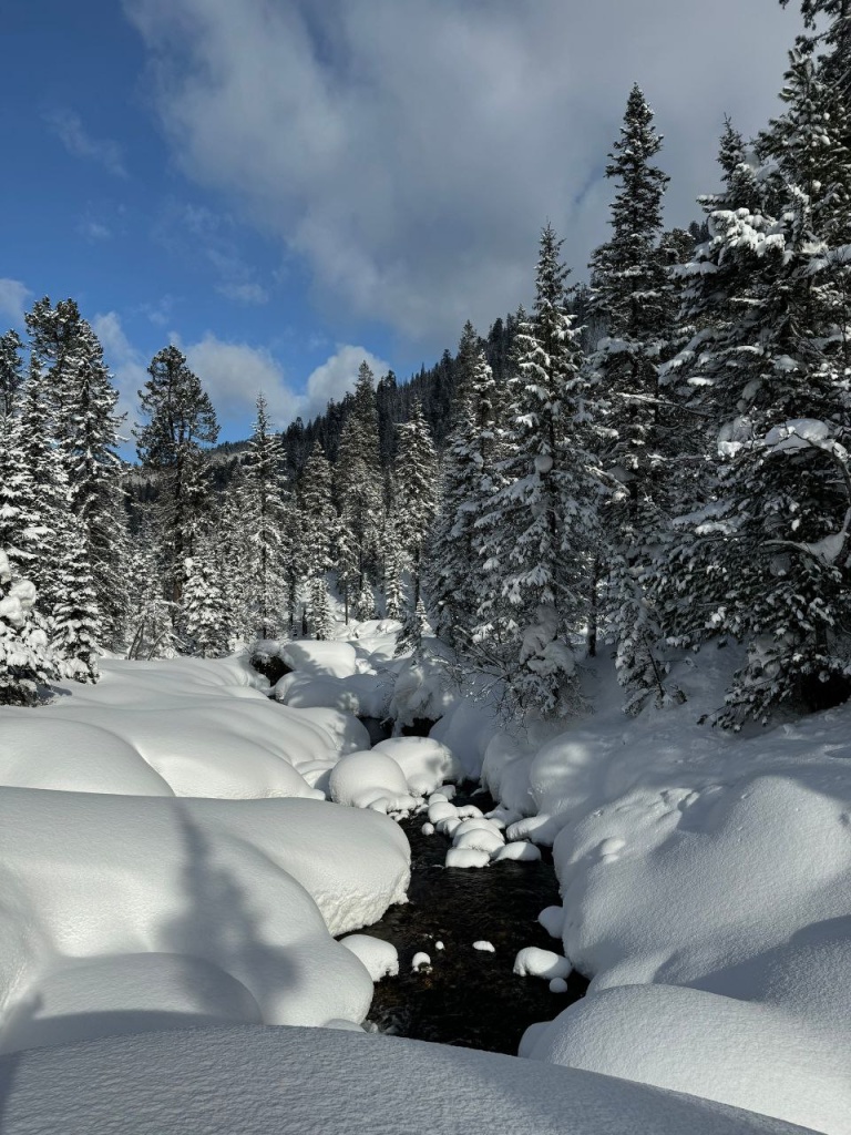 IMG_20260203_234131_416 (1).jpg