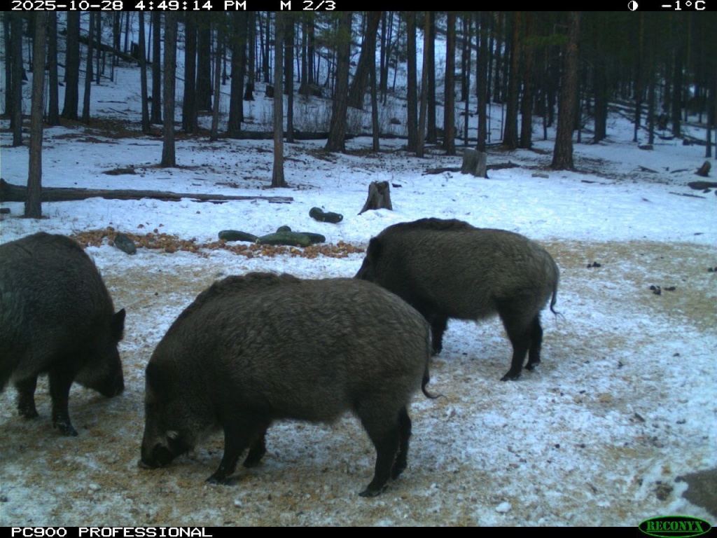 IMG_20251202_213414_361 (1).jpg