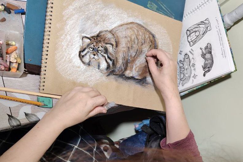 IMG_20251202_211358_634 (1).jpg