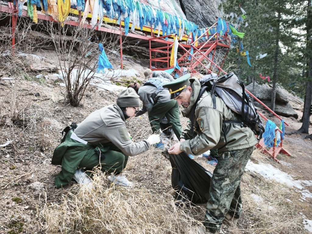 IMG_20260512_033134_072.jpg