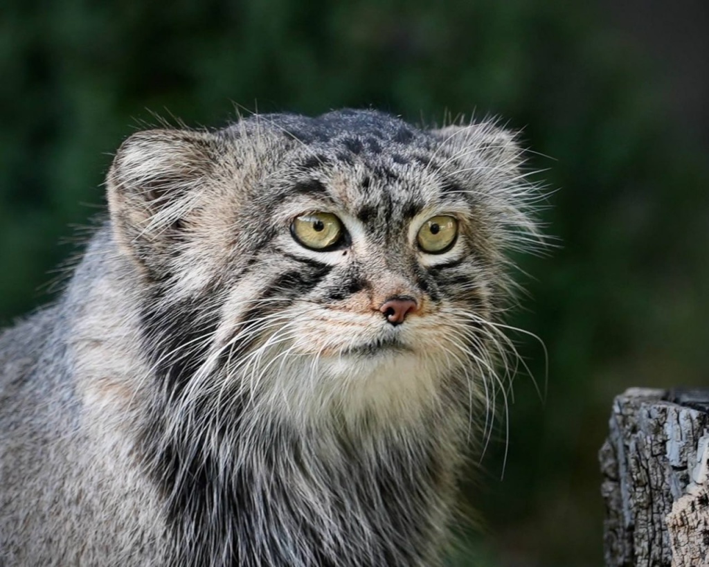 IMG_20251202_212014_744 (1).jpg